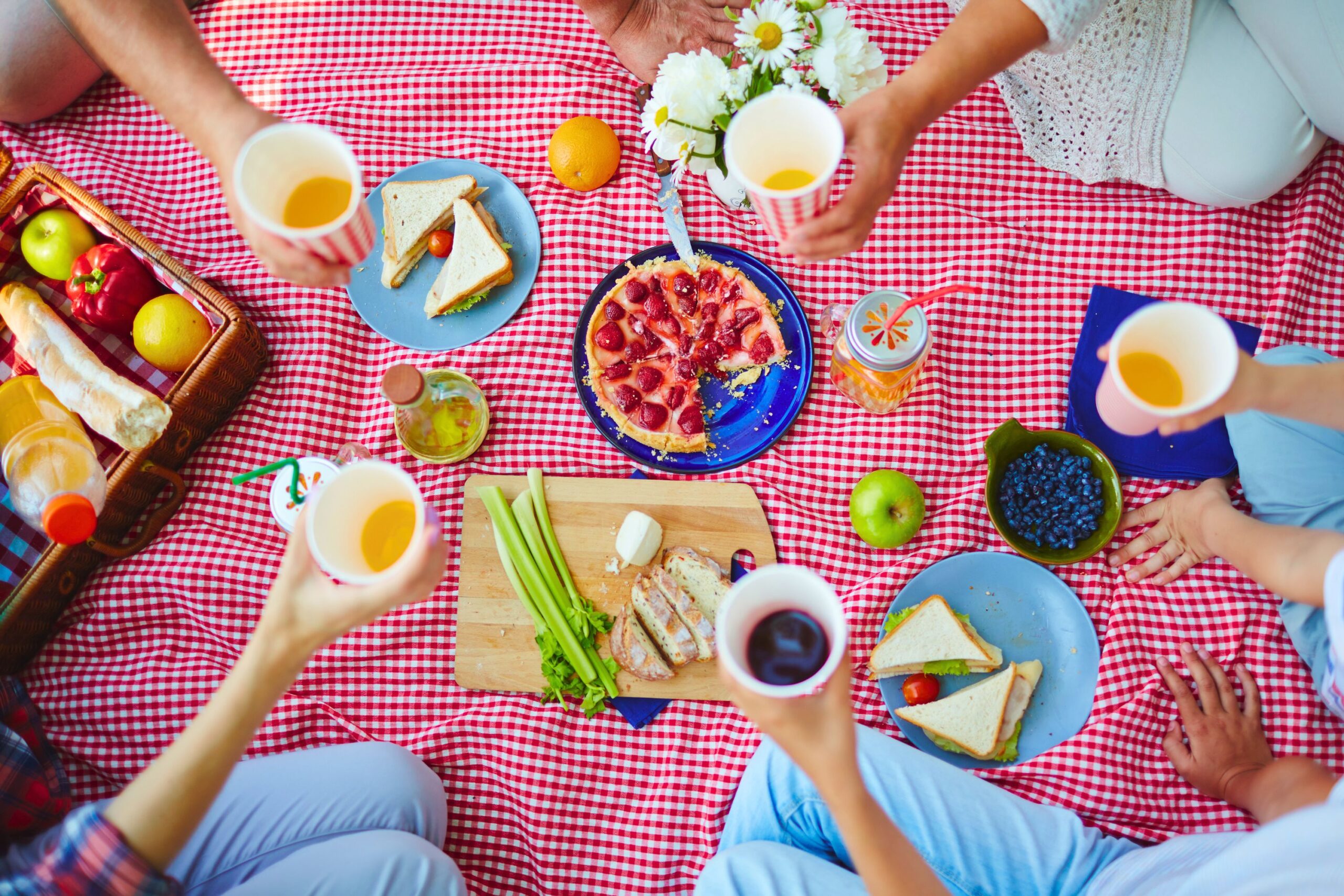 Cheap Picnic Ideas for Family