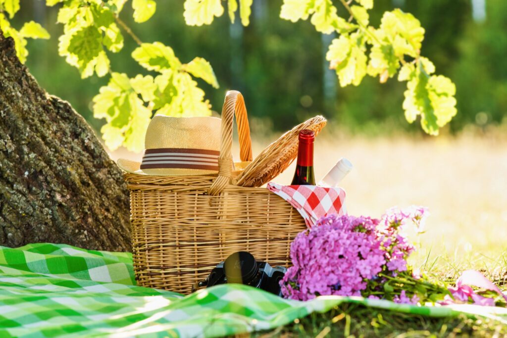 What to bring for a picnic