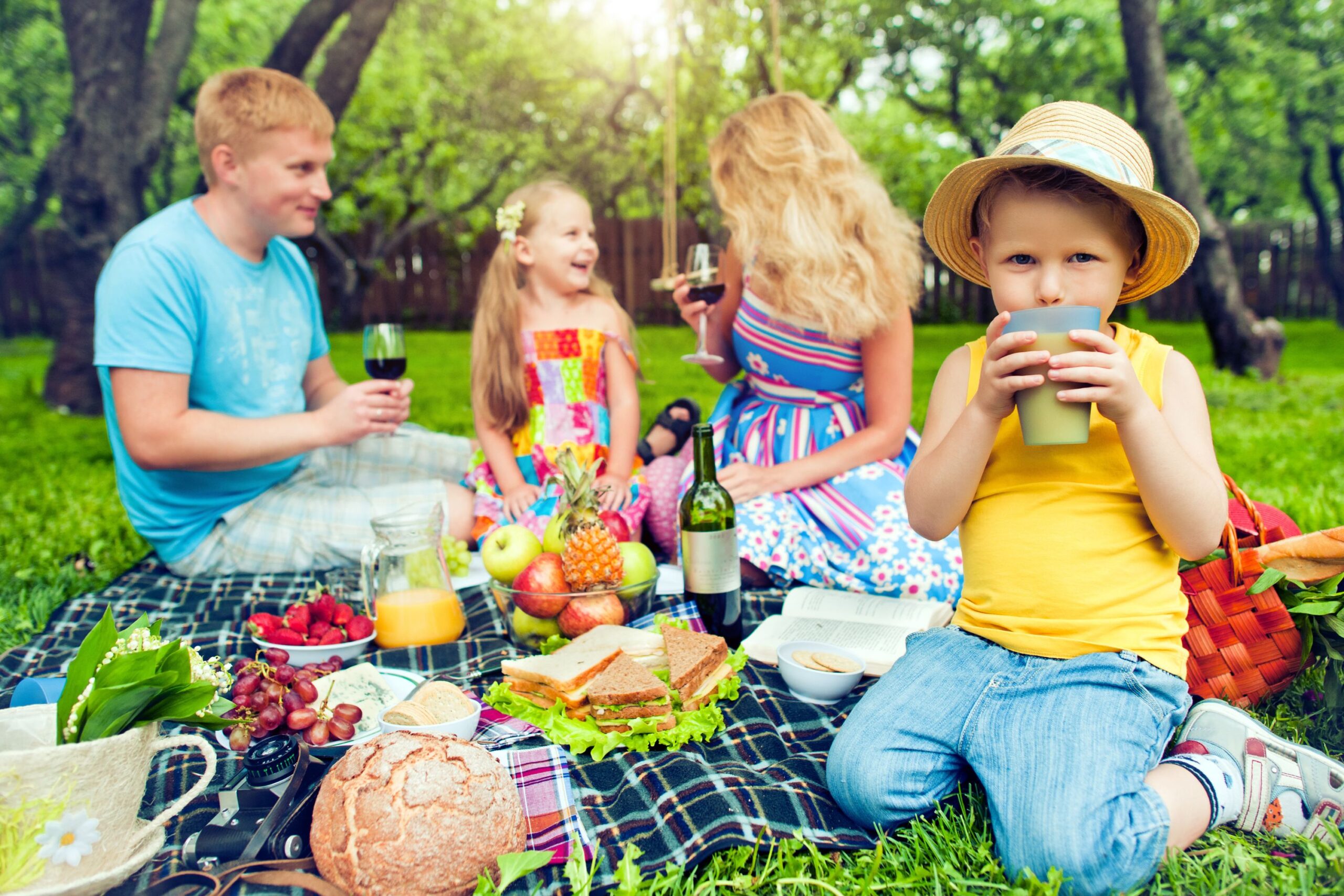 Picnic Birthday Party Ideas For A Girl