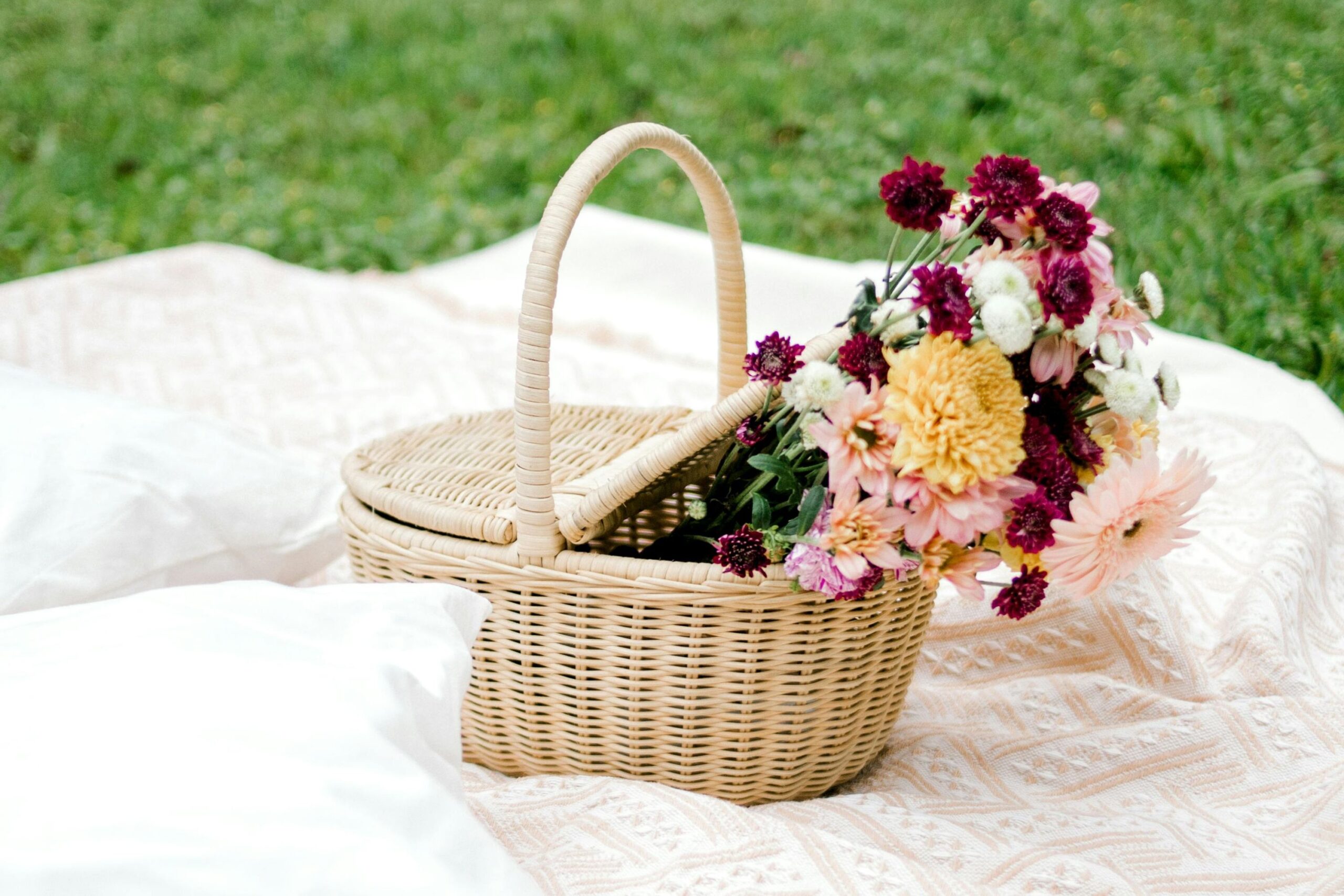 How to Turn Solo Picnics into an Annual Tradition