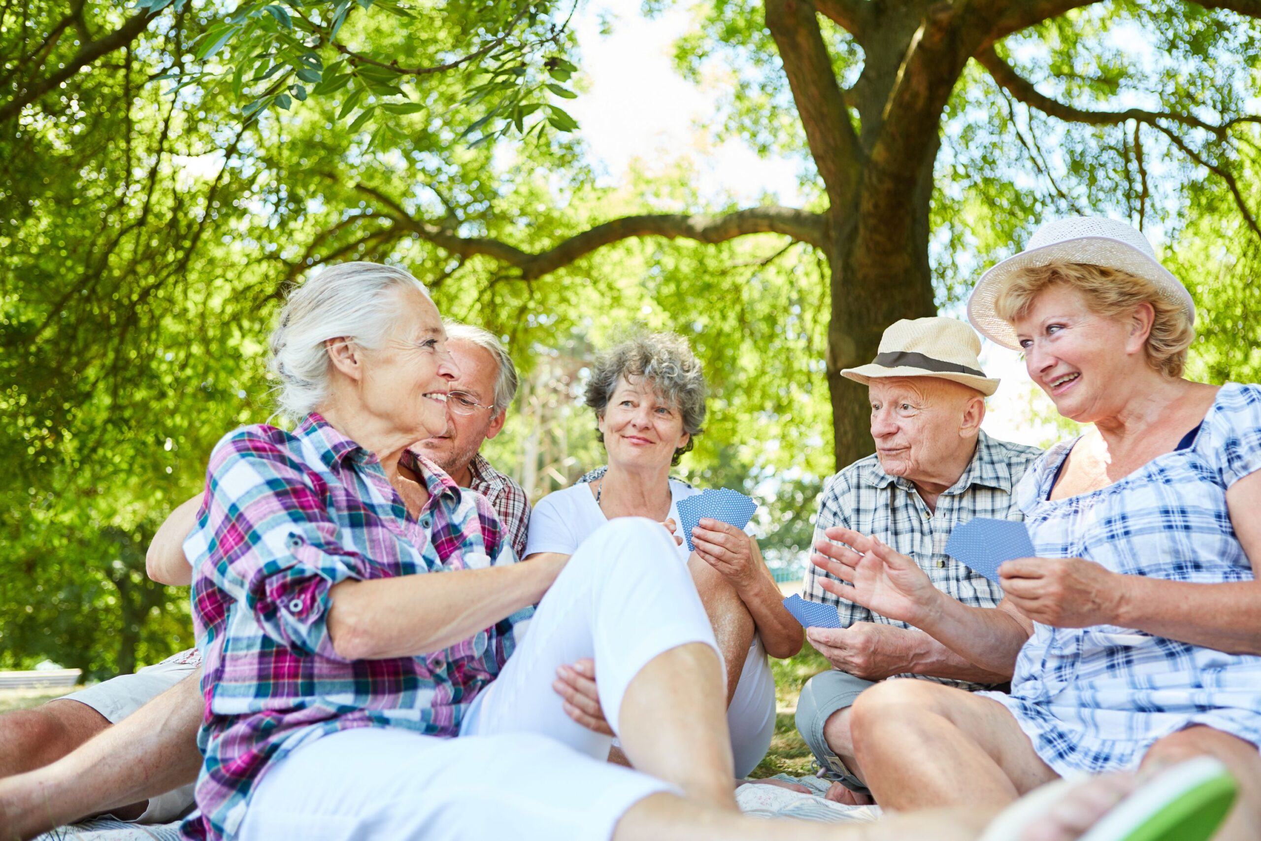 How to Plan a Senior-Friendly Picnic