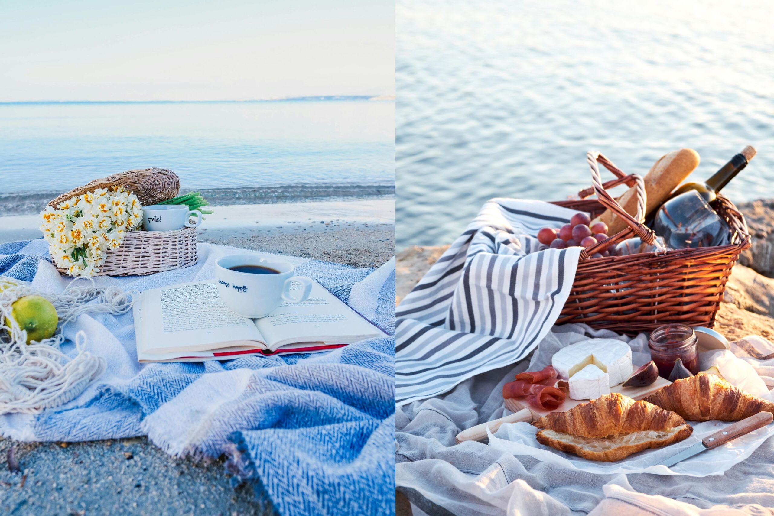 What Can You Do on a Picnic at the Beach