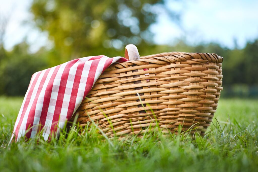 What to Pack for a Picnic by Weather and Time of Year